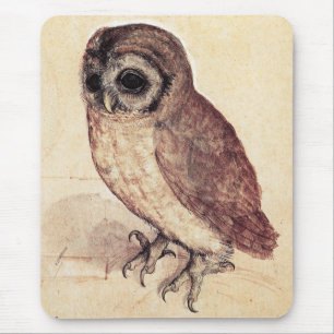 Albrecht Durer de Little Owl Muismat