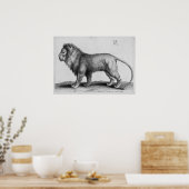 Albrecht Durer Engraving Lion Poster (Keuken)