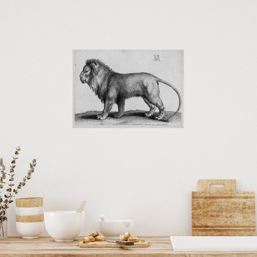 Albrecht Durer Engraving Lion Poster (Keuken)