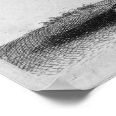 Albrecht Durer Engraving Lion Poster (Hoek)