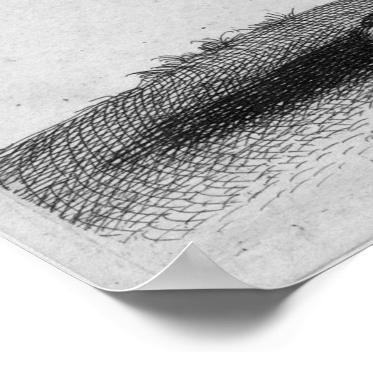 Albrecht Durer Engraving Lion Poster (Hoek)