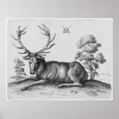 Albrecht Durer Engraving Stag Deer Poster (Voorkant)