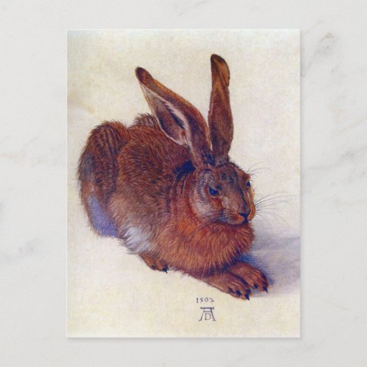 Albrecht Durer - Field hare Briefkaart (Voorkant)