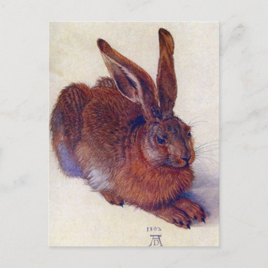 Albrecht Durer - Field Hare GC Briefkaart (Voorkant)