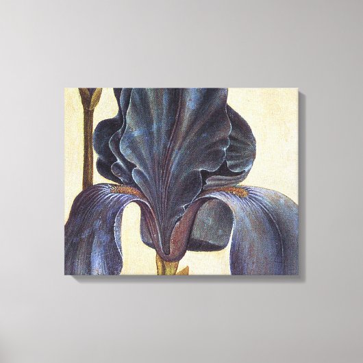 Albrecht Durer Flowers - Iris Detail Schilderij Canvas Afdruk (Voorkant)
