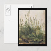 Albrecht Durer Great Piece of Turf Briefkaart (Voorkant / Achterkant)
