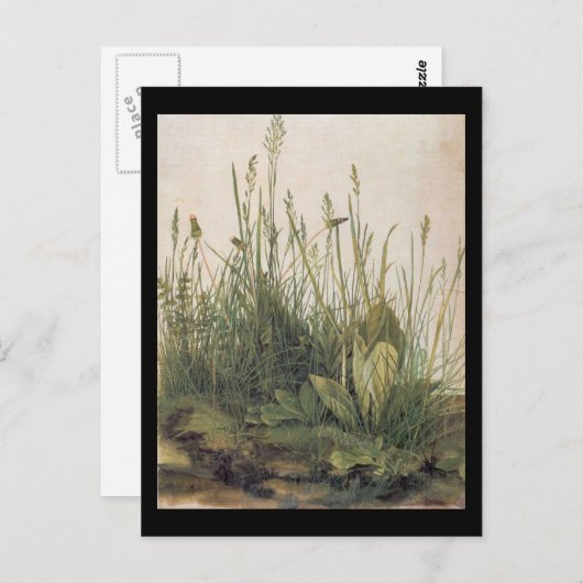 Albrecht Durer Great Piece of Turf Briefkaart (Voorkant / Achterkant)