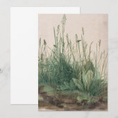 Albrecht Dürer - Great Piece of Turf Kaart (Voorkant / Achterkant)