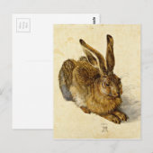 Albrecht Durer - Haas (1502) Briefkaart (Voorkant / Achterkant)