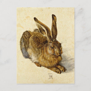 Albrecht Durer - Hare (1502) Briefkaart