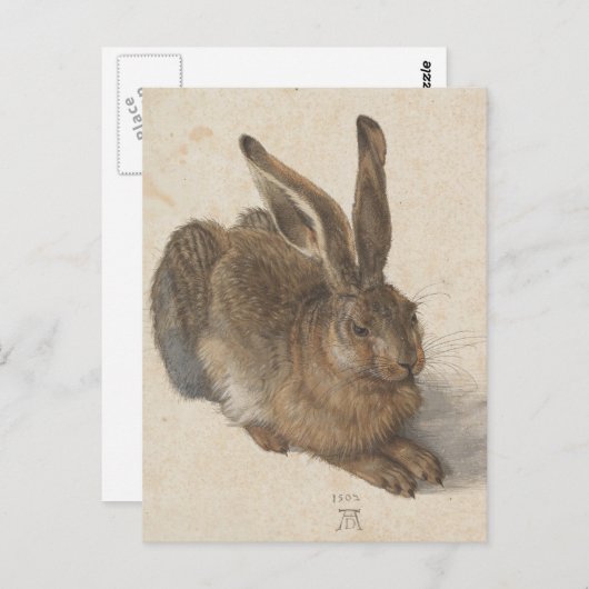 Albrecht Dürer - Hare Briefkaart (Voorkant / Achterkant)