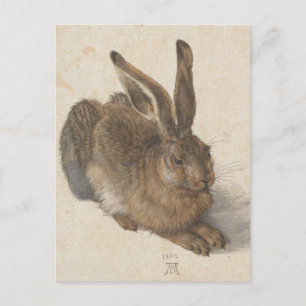 Albrecht Dürer - Hare Briefkaart