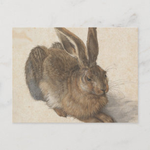 Albrecht Dürer - Hare Briefkaart