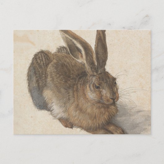 Albrecht Dürer - Hare Briefkaart (Voorkant)