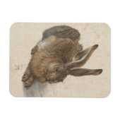 Albrecht Dürer - Hare Magneet (Horizontaal)
