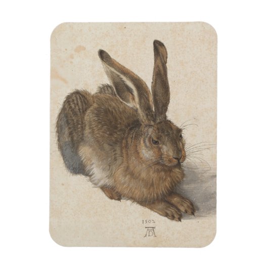Albrecht Dürer - Hare Magneet (Verticaal)