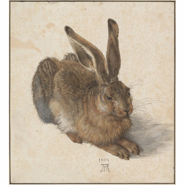 Albrecht Dürer - Hare Staand Fotobeeldje (Voorkant)