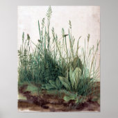 Albrecht Dürer Het grote stuk Turf Poster (Voorkant)