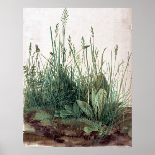 Albrecht Dürer Het grote stuk Turf Poster