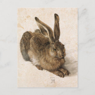 Albrecht Dürer - Junger Hase (Young Hare), 1502 Briefkaart