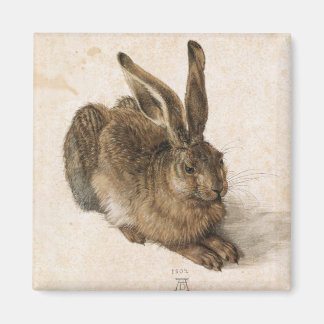 Albrecht Dürer - Junger Hase (Young Hare), 1502 Magneet