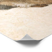 Albrecht Dürer - Junger Hase (Young Hare), 1502 Poster (Hoek)