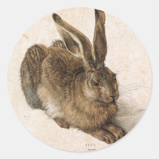Albrecht Dürer - Junger Hase (Young Hare), 1502 Ronde Sticker (Voorkant)