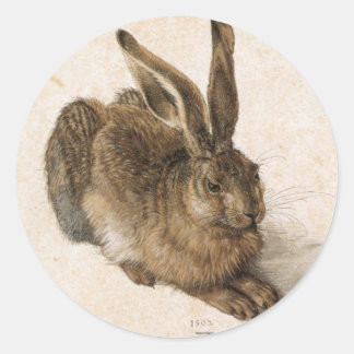 Albrecht Dürer - Junger Hase (Young Hare), 1502 Ronde Sticker
