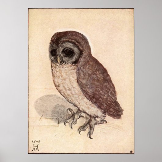 Albrecht Durer Little Owl Poster (Voorkant)