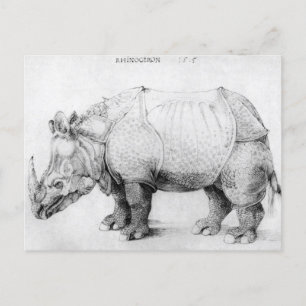 Albrecht Durer Rhinoceros Briefkaart