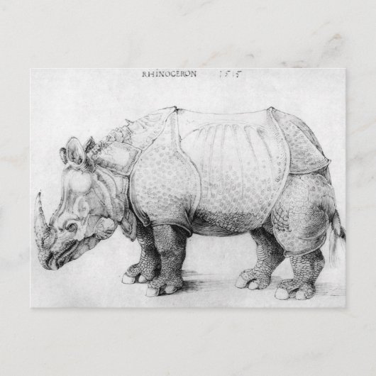 Albrecht Durer Rhinoceros Briefkaart (Voorkant)