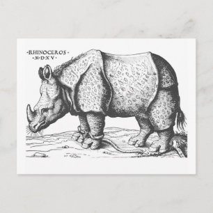 Albrecht Durer - Rhinoceros Briefkaart