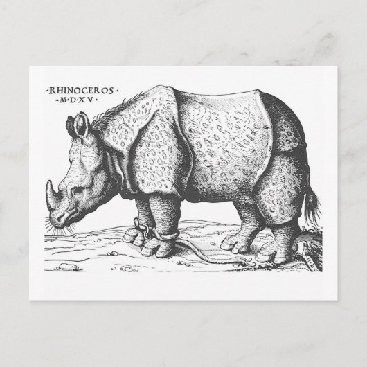Albrecht Durer - Rhinoceros Briefkaart (Voorkant)