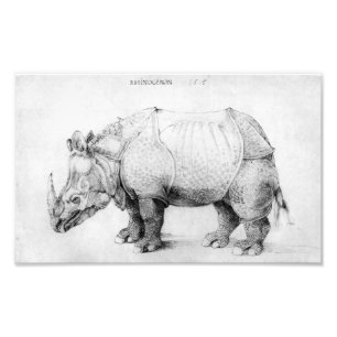 Albrecht Durer Rhinoceros Foto Afdruk