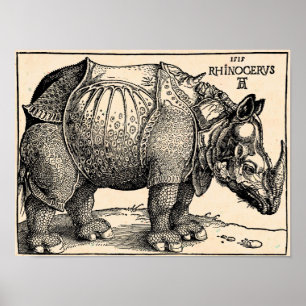 Albrecht Dürer Rhinoceros Poster