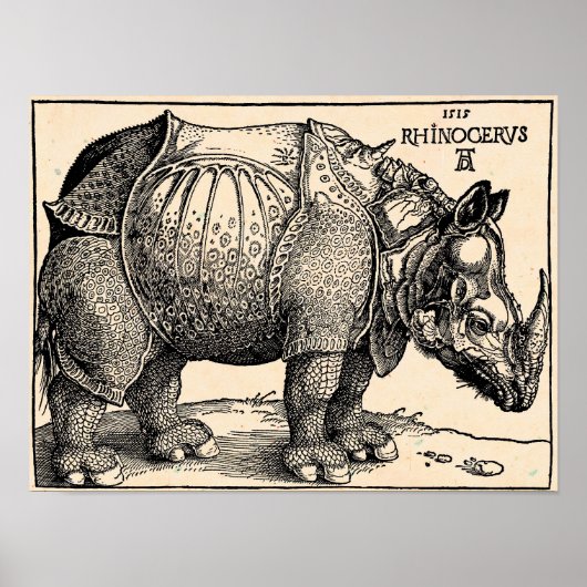 Albrecht Dürer Rhinoceros Poster (Voorkant)