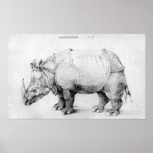 Albrecht Durer Rhinoceros Poster (Voorkant)