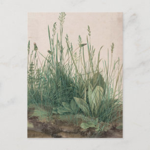 Albrecht Durer Sketch Briefkaart