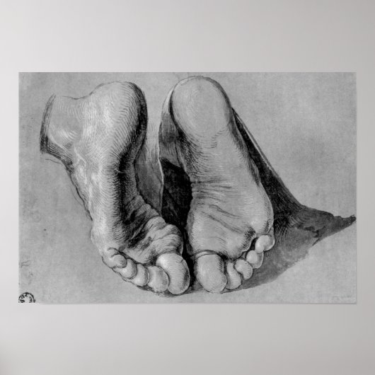 Albrecht Durer Sketch Poster (Voorkant)