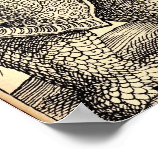 Albrecht Durer Sketching Poster (Hoek)