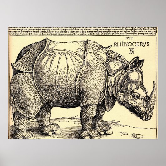 Albrecht Durer Sketching Poster (Voorkant)