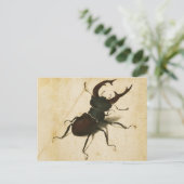 Albrecht Durer Stag Beetle Renaissance  Art Briefkaart (Staand voorkant)