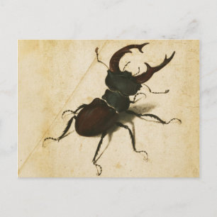 Albrecht Durer Stag Beetle Renaissance Art Briefkaart