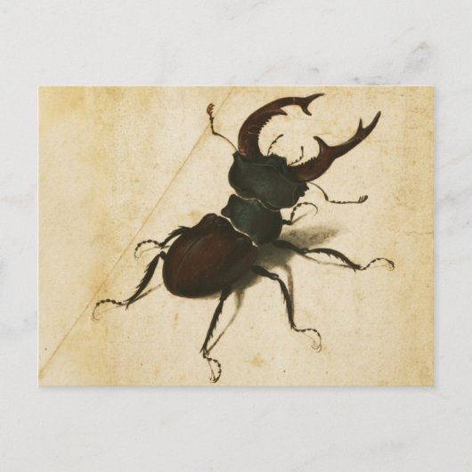 Albrecht Durer Stag Beetle Renaissance  Art Briefkaart (Voorkant)