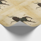 Albrecht Durer Stag Beetle Renaissance  Art Cadeaupapier (Hoek)