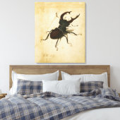 Albrecht Durer Stag Beetle Renaissance  Art Canvas Afdruk (Insitu (Slaapkamer))