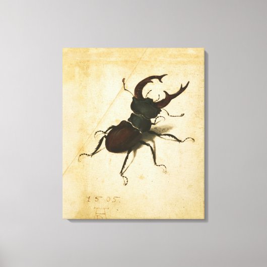 Albrecht Durer Stag Beetle Renaissance  Art Canvas Afdruk (Voorkant)