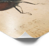 Albrecht Durer Stag Beetle Renaissance  Art Foto Afdruk (Hoek)