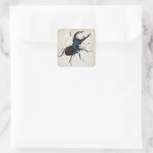 Albrecht Dürer Stag Beetle Vierkante Sticker (Tas)