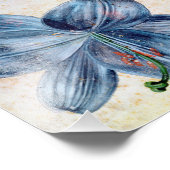 Albrecht Durer - Studie naar een Lily Foto Afdruk (Hoek)